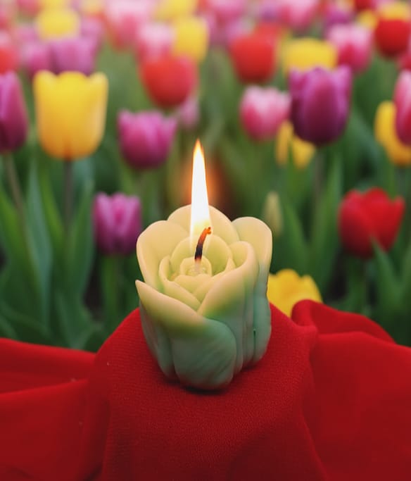 Tulip Bloom - Vanilla Scented Candles
